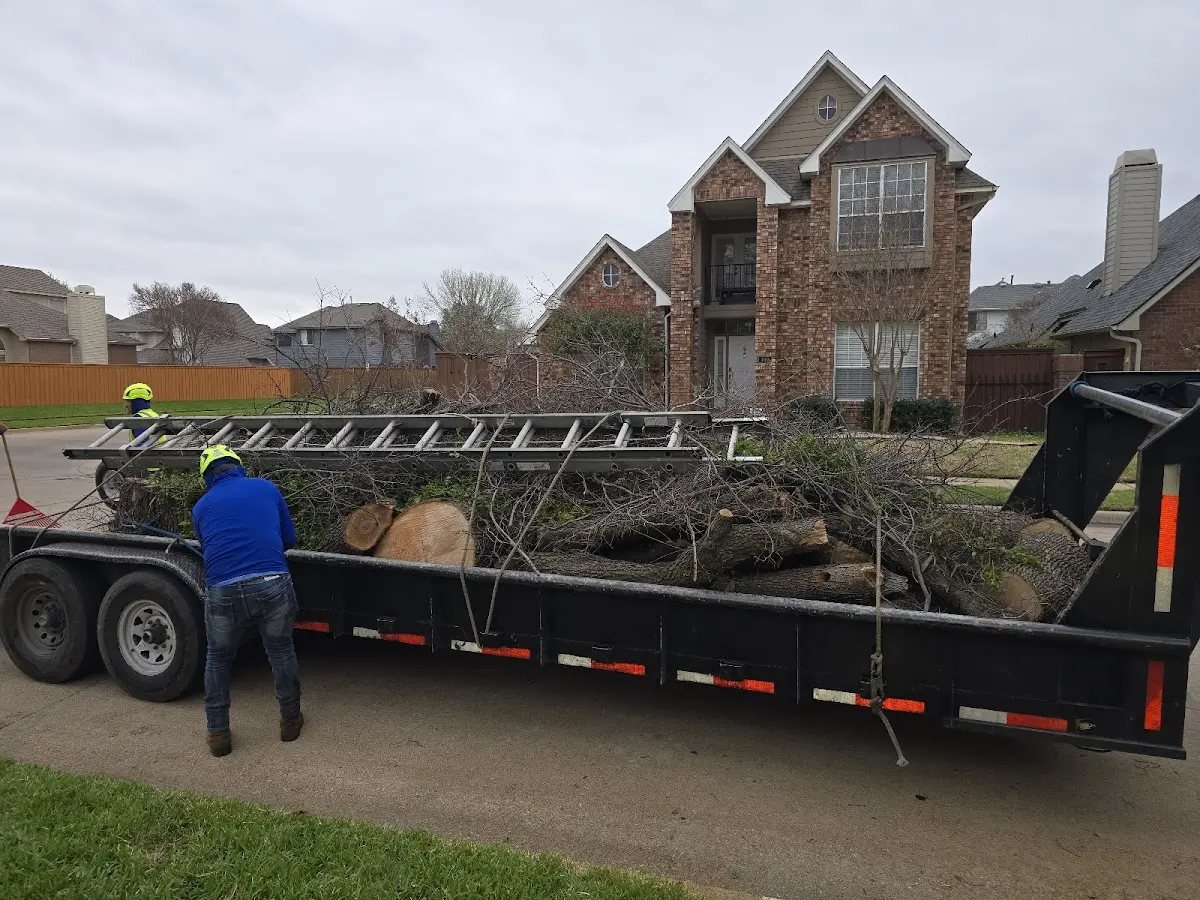 Expert Tree Fertilization with proper safety equipment in Stantonville